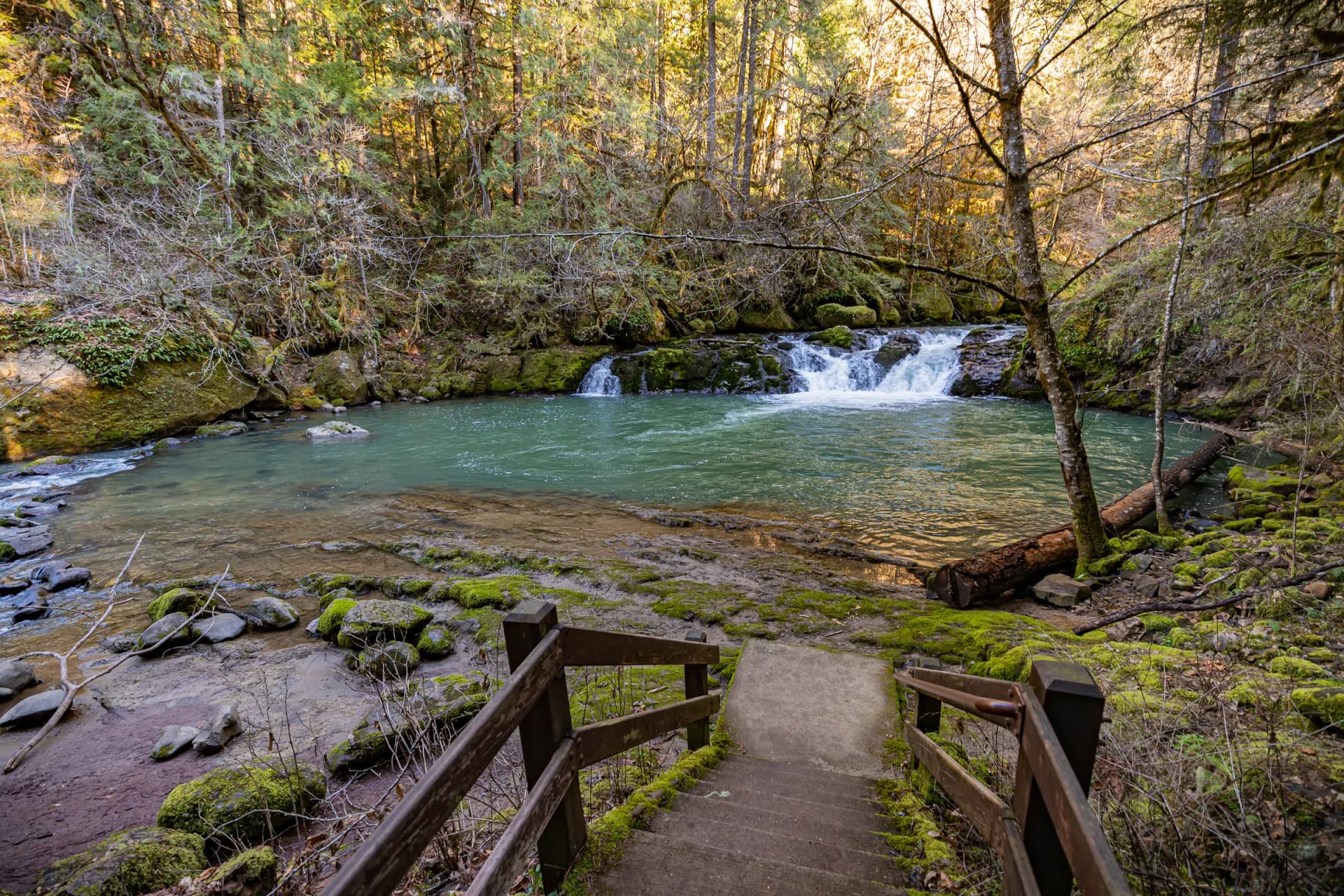 The trail down to Cavitt Creek Falls and its swimming hole