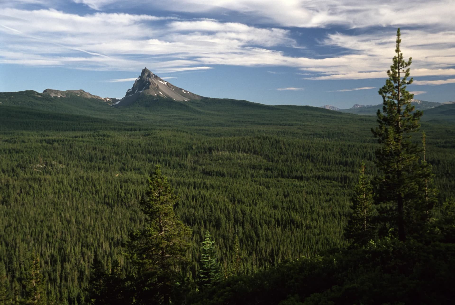 Mount Thielsen rising above miles of conifer forest