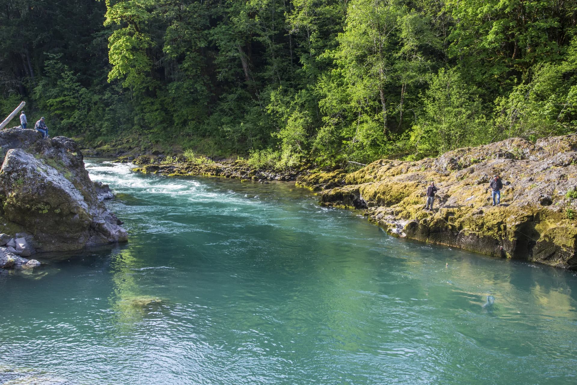 Anglers on mossy rocks above a turquoise pool on the North Umpqua River