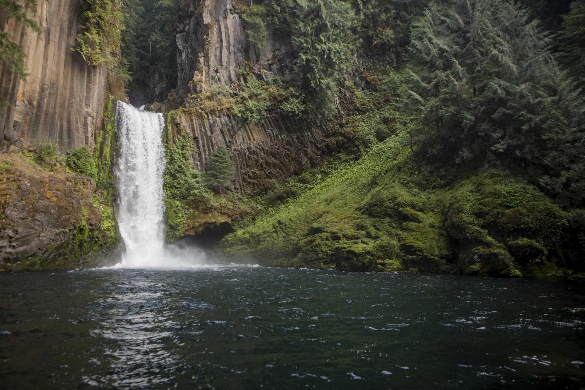 Toketee Falls dropping between basalt columns into a dark pool