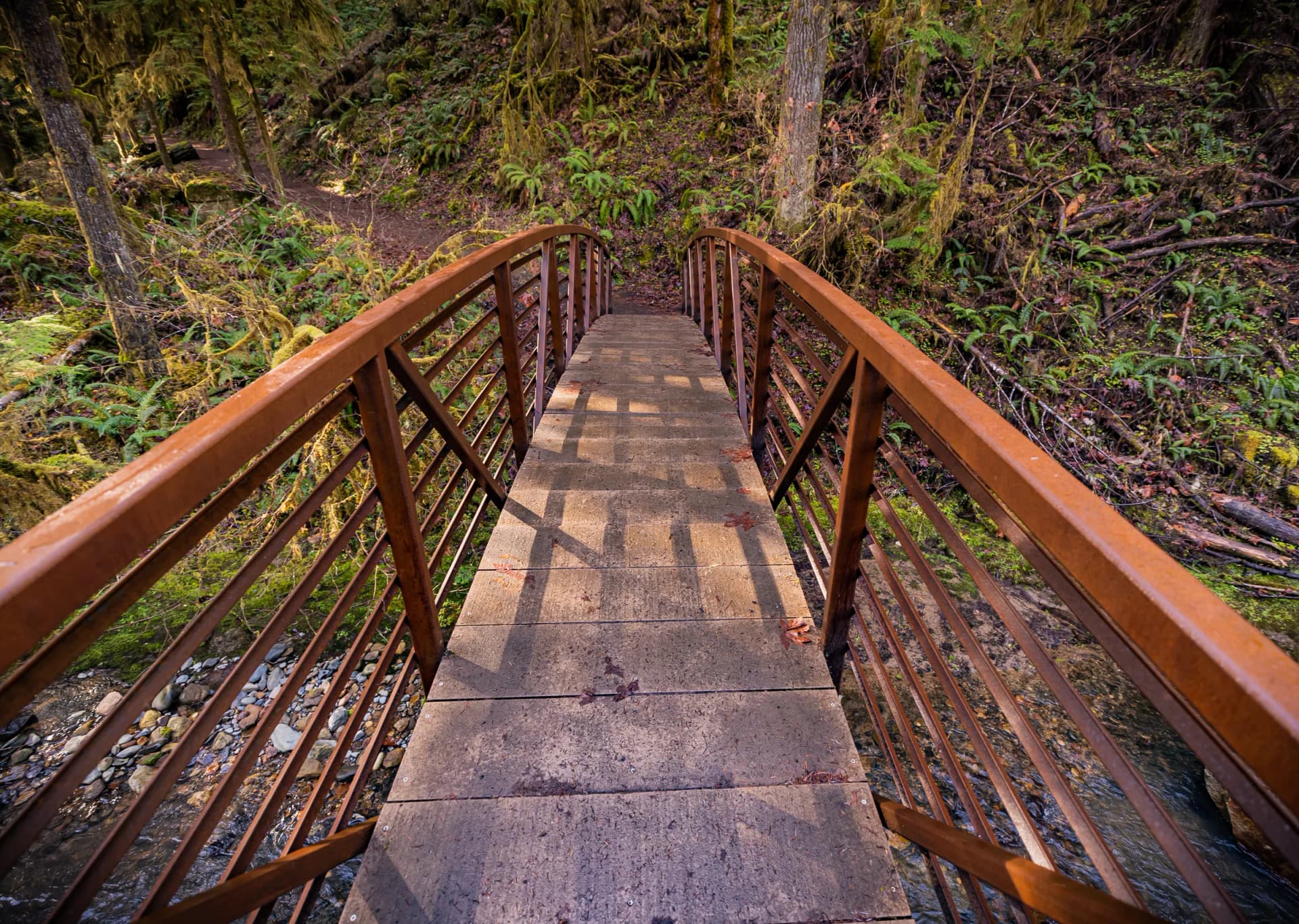 A footbridge carrying the Wolf Creek Falls Trail into the forest